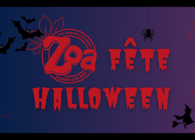 Zoa fête Halloween