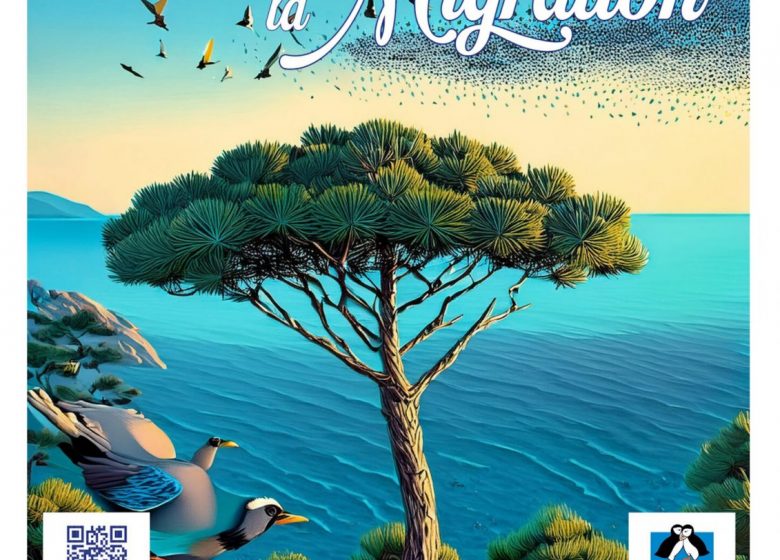 Le mystère des oiseaux migrateurs