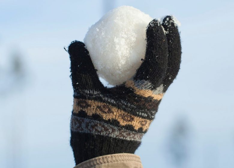 Boule de neige