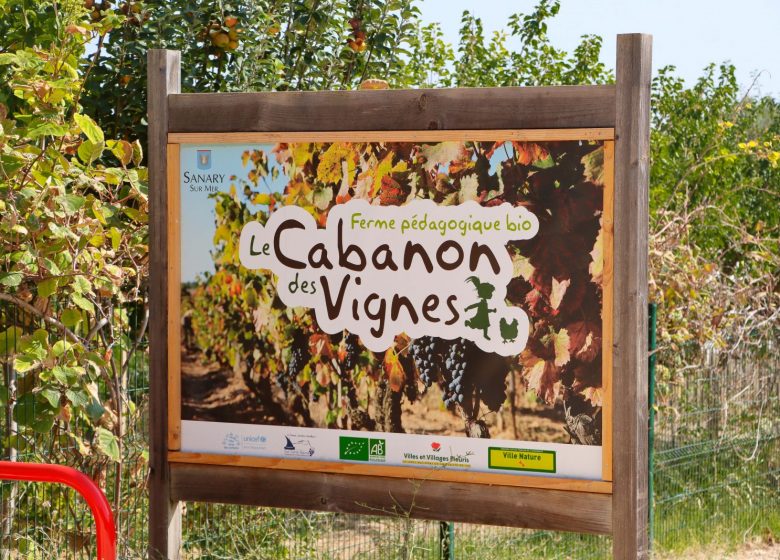 Cabanon des vignes