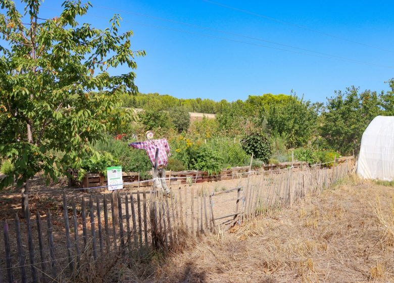 Cabanon des vignes