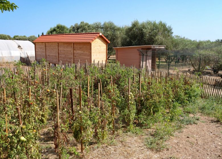 Cabanon des vignes