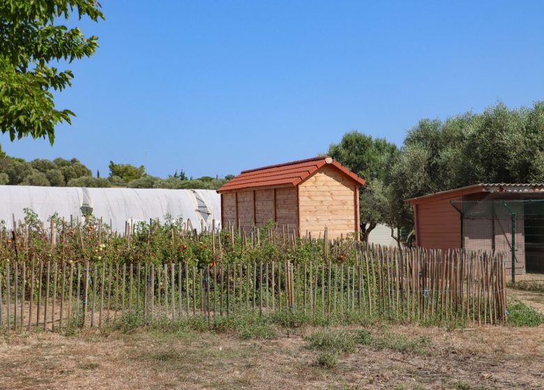 Cabanon des vignes