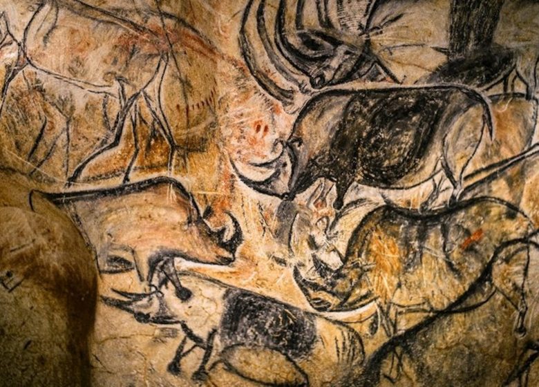 Diffusion Documentaire sur la Grotte Chauvet